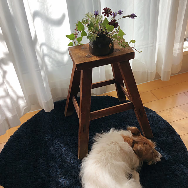 toto.ikさんの実例写真