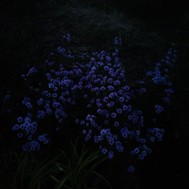 Tomopさんの実例写真