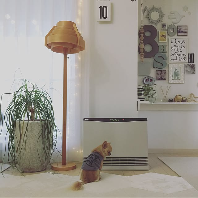 haruhinaさんの実例写真