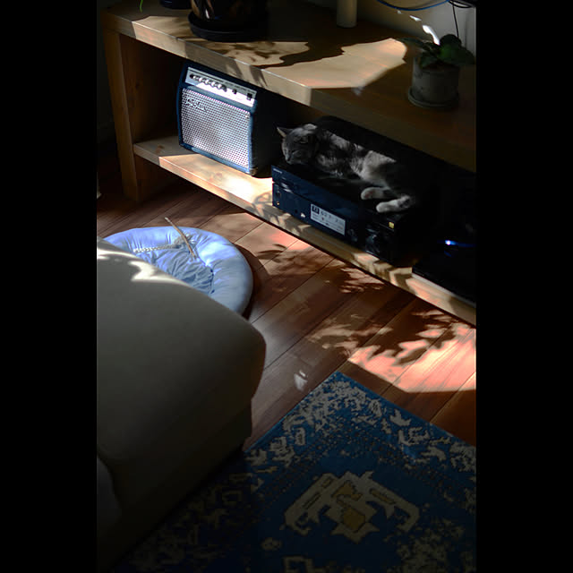 takiroraさんの実例写真