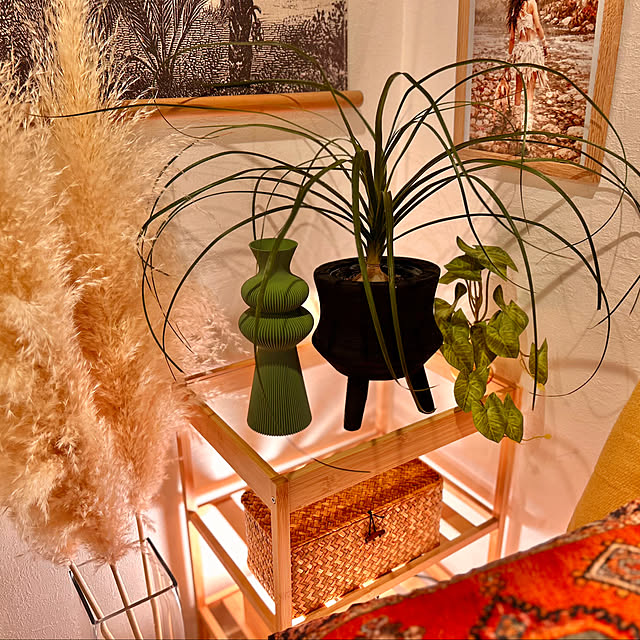 roenさんの実例写真