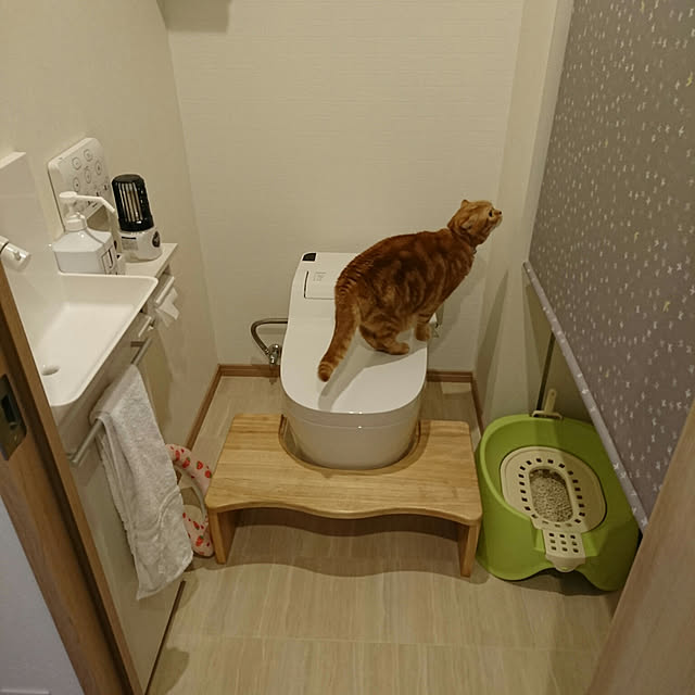 naoさんの実例写真