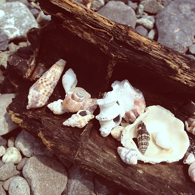 yu3taro-さんの実例写真