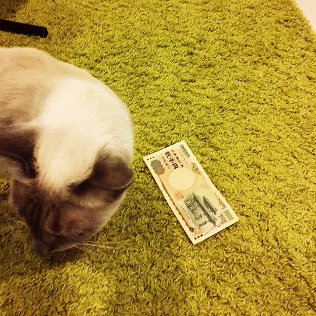 niko-25さんの実例写真