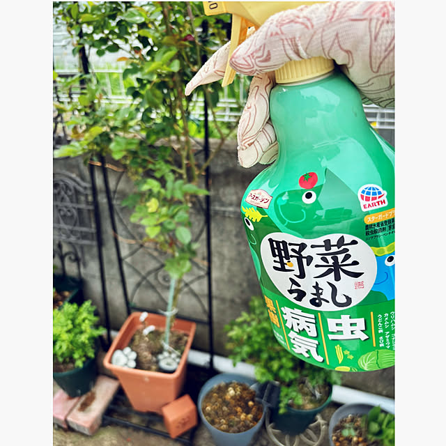 CoCo0617さんの実例写真