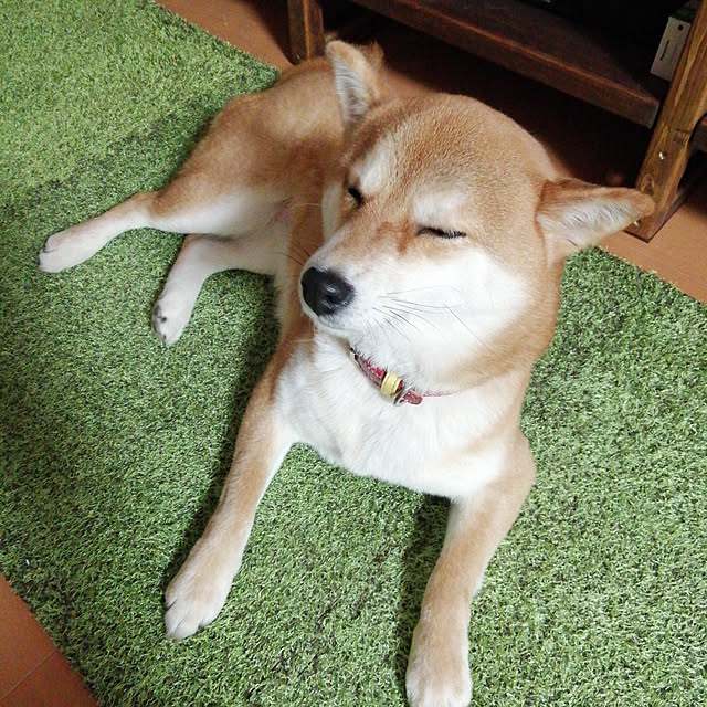 carbonaraさんの実例写真
