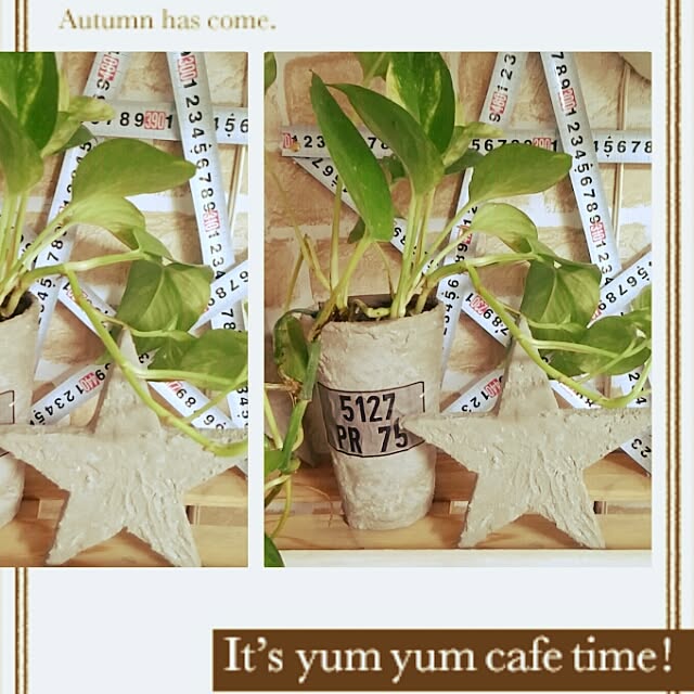 springkeyさんの実例写真
