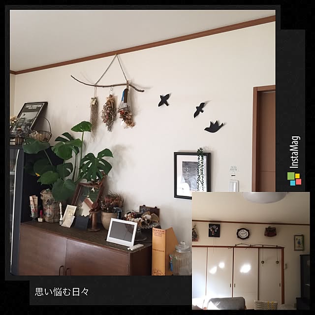 haruさんの実例写真