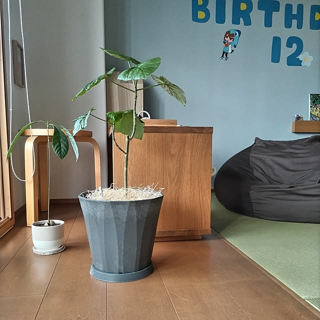 sakiさんの部屋