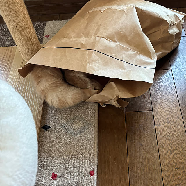 naokoさんの部屋