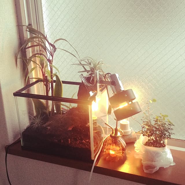 Enjoy7さんの実例写真