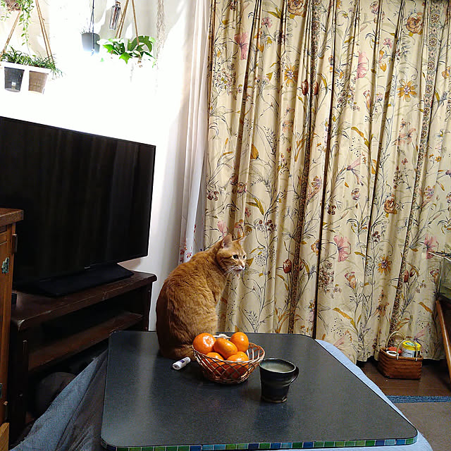 okyosan101さんの実例写真