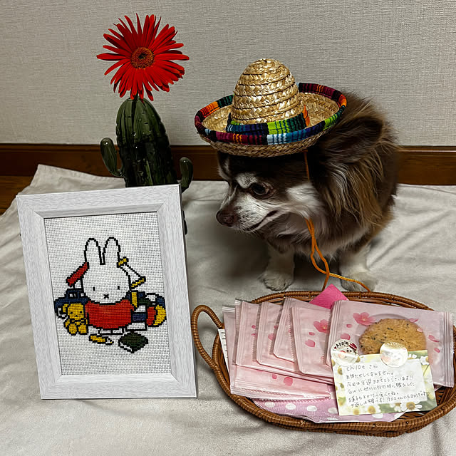 chIoeさんの部屋