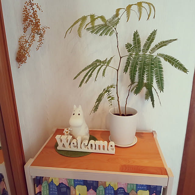 kumimmyさんの実例写真