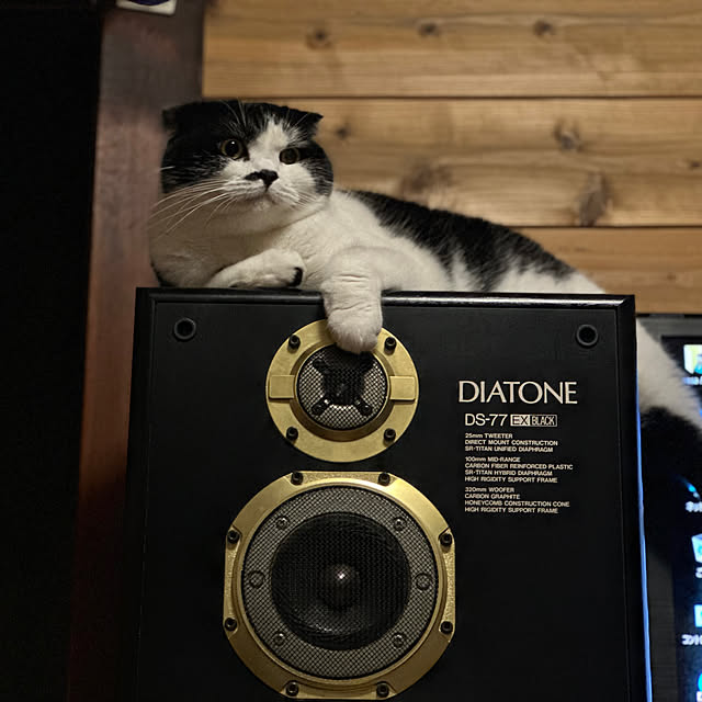 wacchiさんの部屋