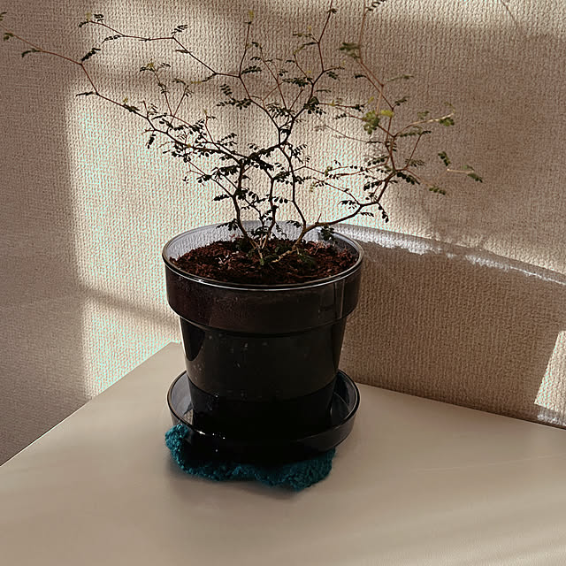 ruuuさんの実例写真