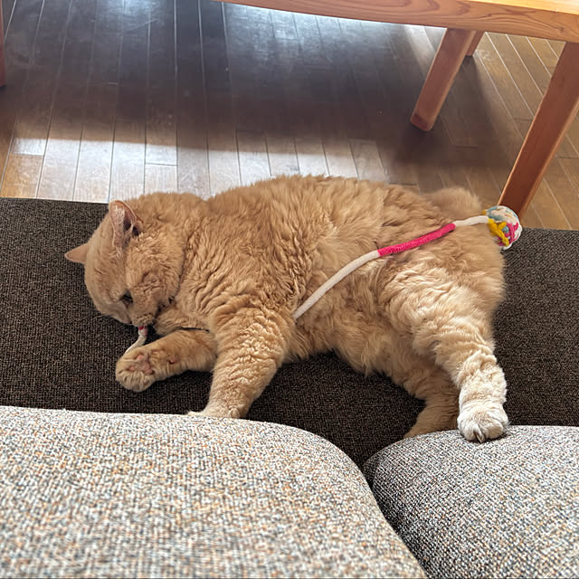 naokoさんの部屋