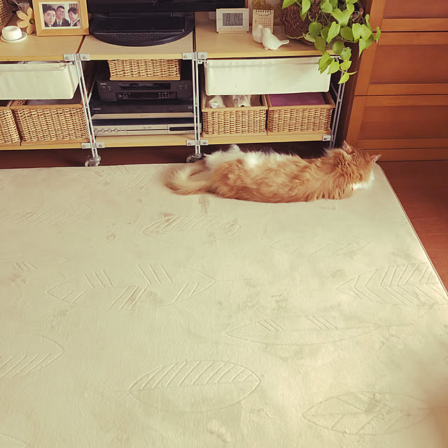 uchidaizuさんの実例写真