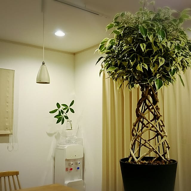 ogaさんの実例写真