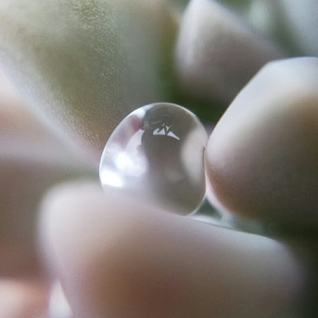 rurucchiさんの実例写真