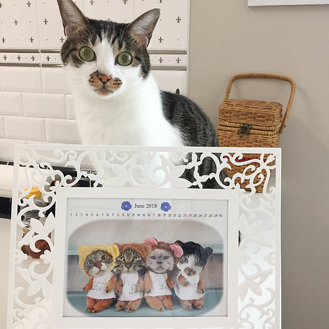 yuchiさんの実例写真