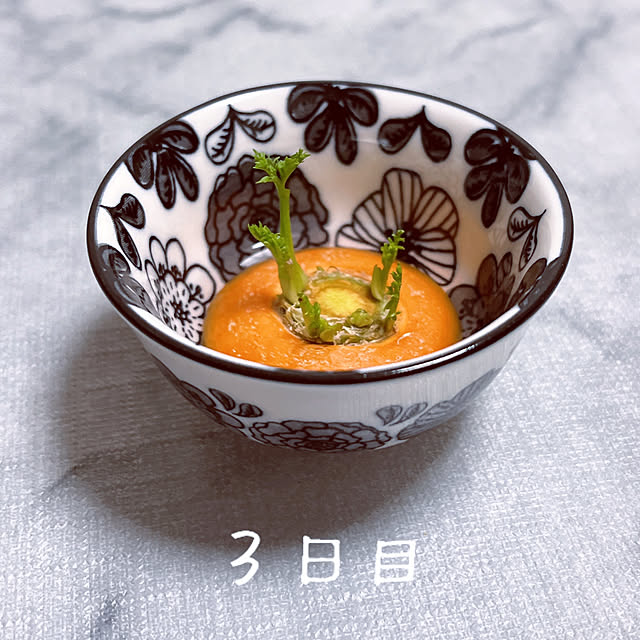 reika111さんの実例写真