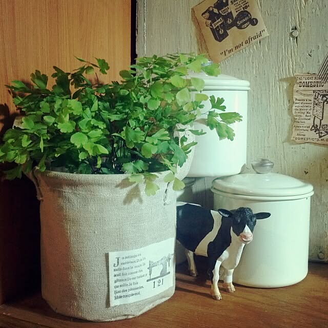 dezさんの実例写真