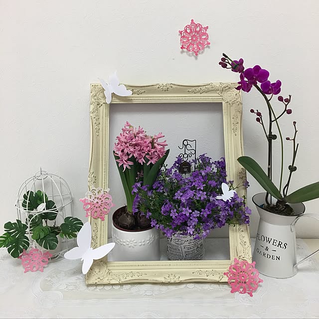 Sakura_hanaさんの実例写真