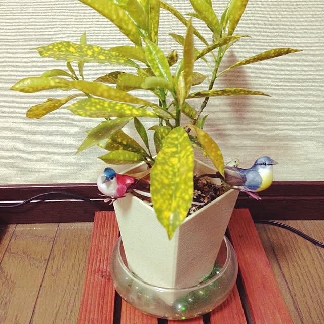 sayaka...さんの実例写真