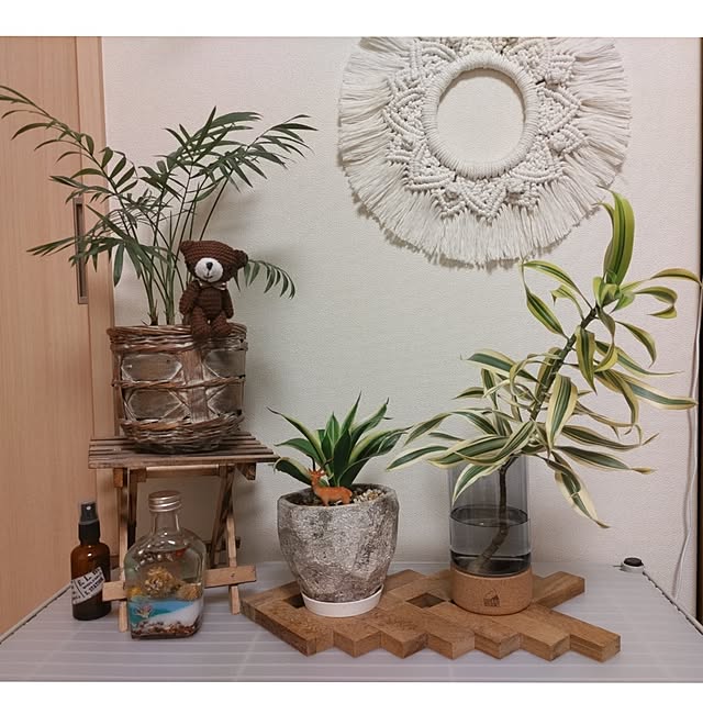 ベッド周り/心地よい暮らし/水栽培/いつもありがとうございます♪感謝☆/観葉植物のある生活...などのインテリア実例 - 2024-06-21 22:59:19