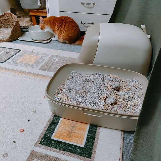 mori_6_12さんの部屋