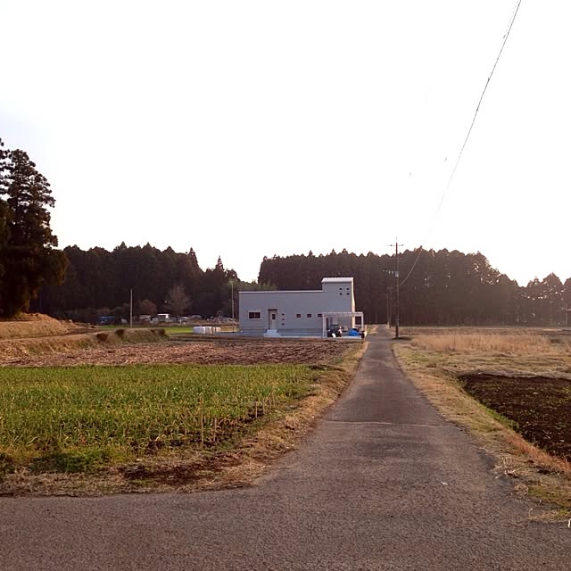 Emiさんの実例写真