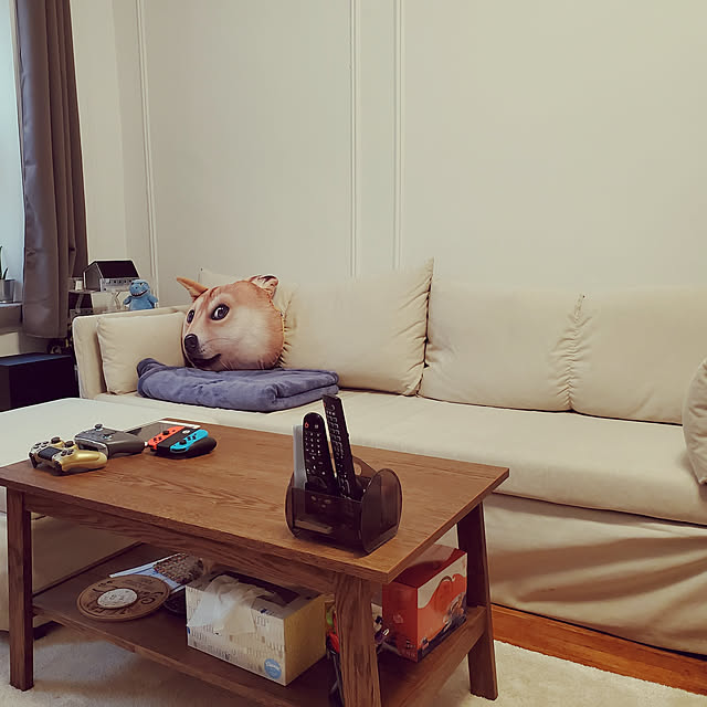 部屋全体/ソファ/IKEA/100均/北欧のインテリア実例 - 2019-06-29 12:35:39