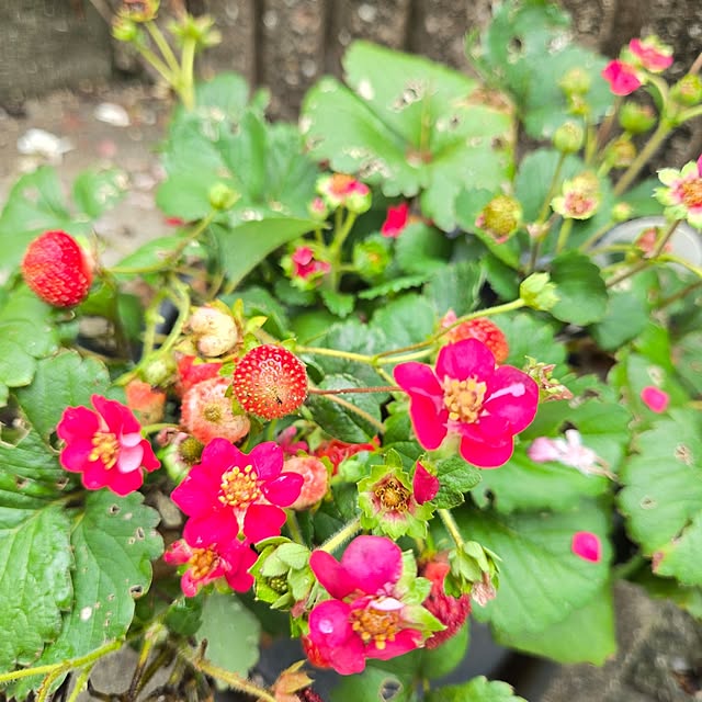 min_nimさんの実例写真