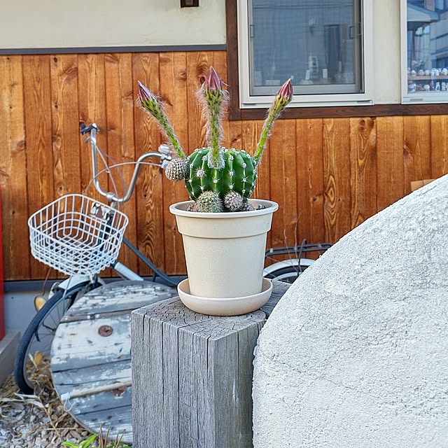 t.yumiさんの実例写真