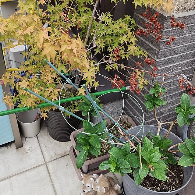 Hitomiさんの部屋