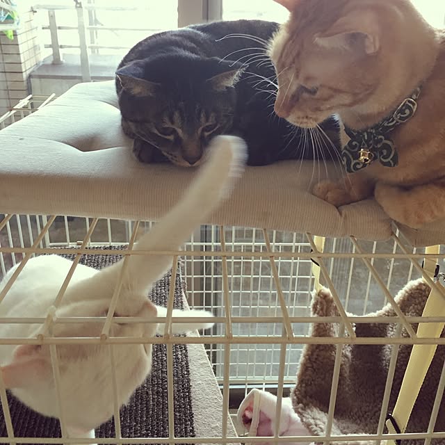 htbtさんの実例写真