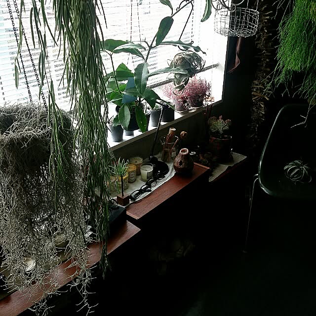 yujlさんの実例写真