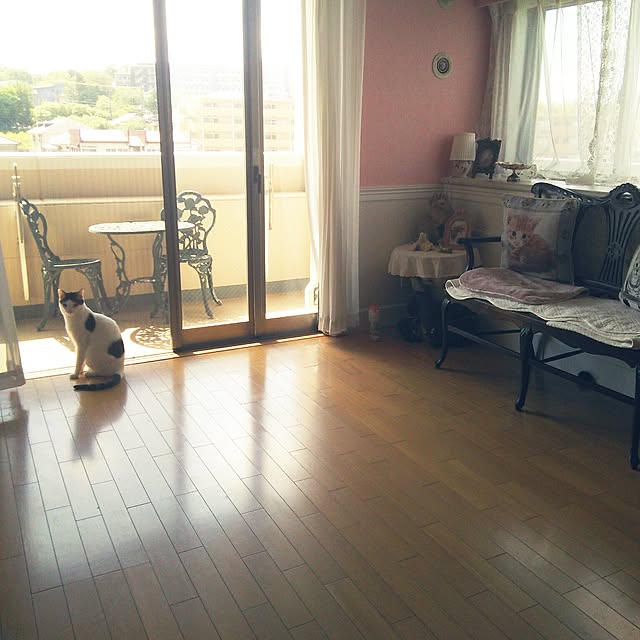 sakuraさんの実例写真