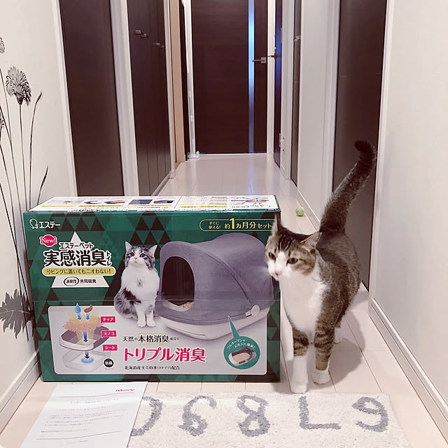 nekomiさんの実例写真