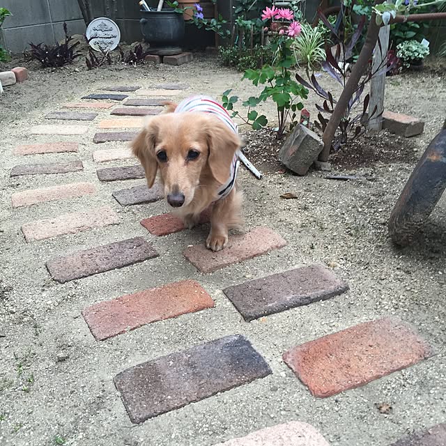 bibianさんの実例写真