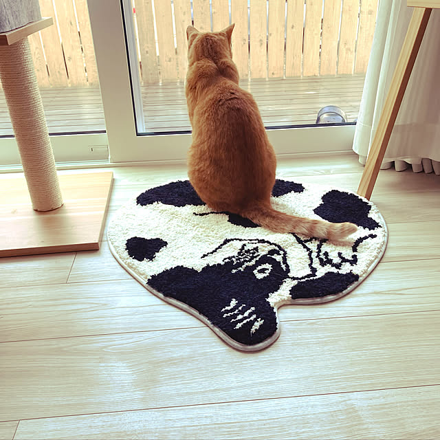 myuuさんの実例写真