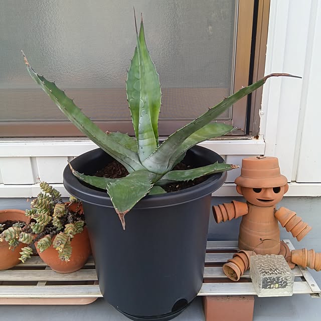 mikeさんの実例写真