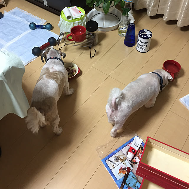 emiさんの実例写真