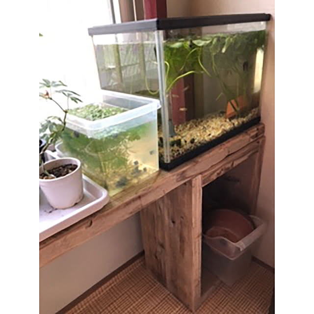 WOODPROさんの部屋