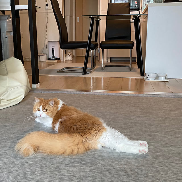 H.Tさんの実例写真