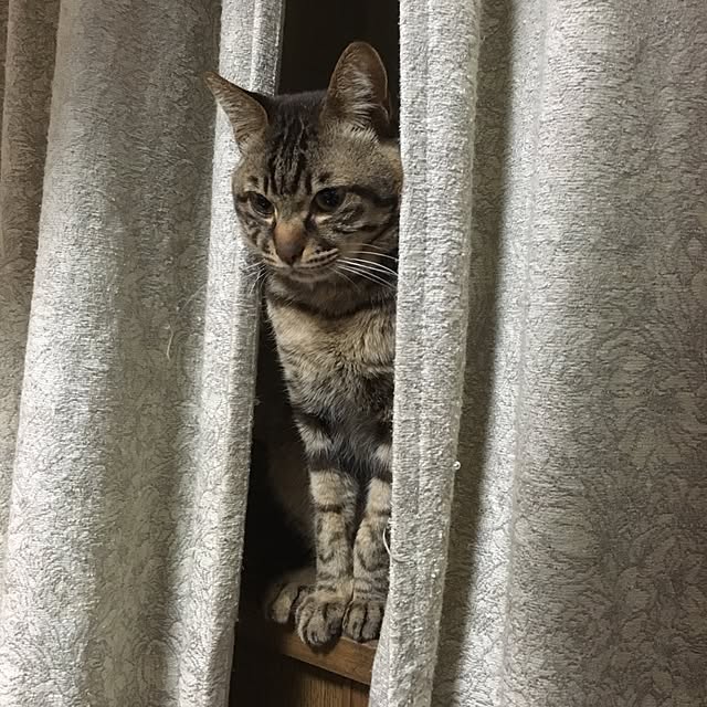 megkeiさんの実例写真