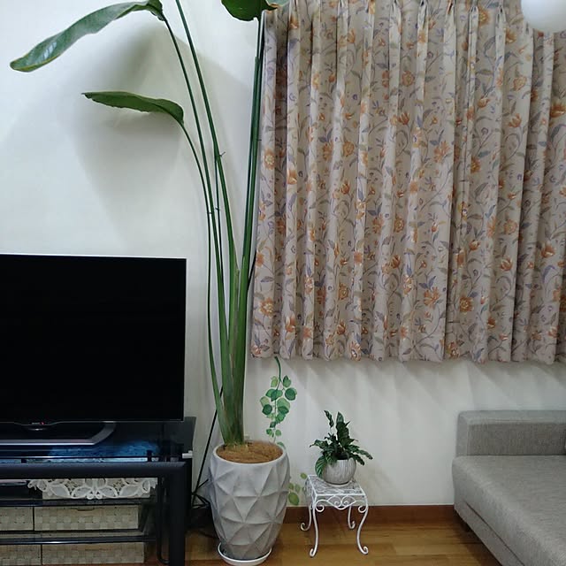 kazumamaさんの実例写真