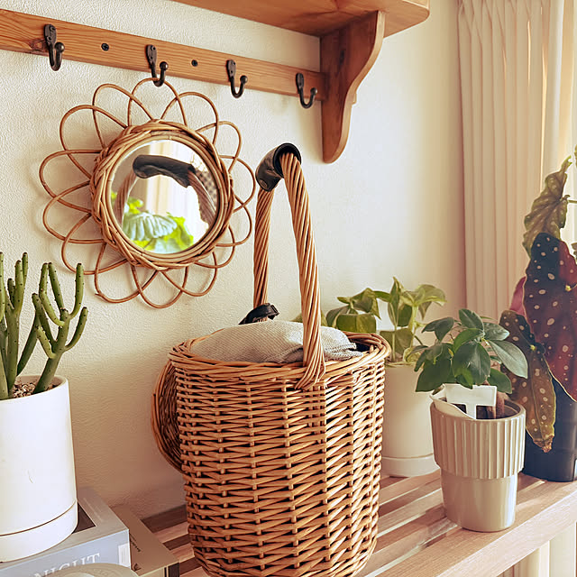 misoさんの実例写真