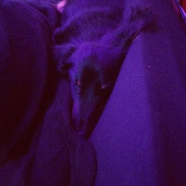 xxxpunk696さんの実例写真